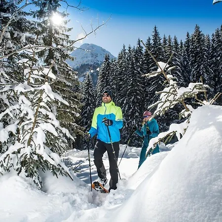Alpenherz Апартаменты Пертизау