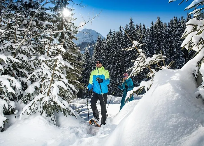 Alpenherz Daire Pertisau